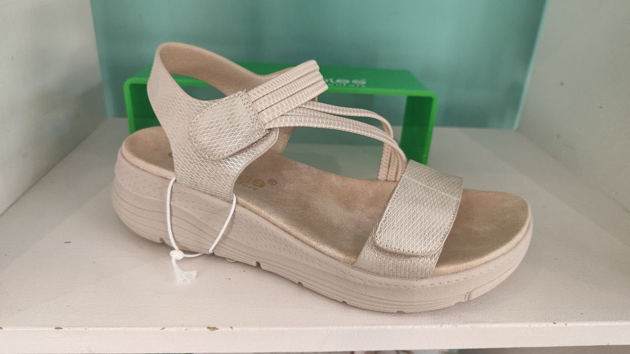 AMAR PIES 28606