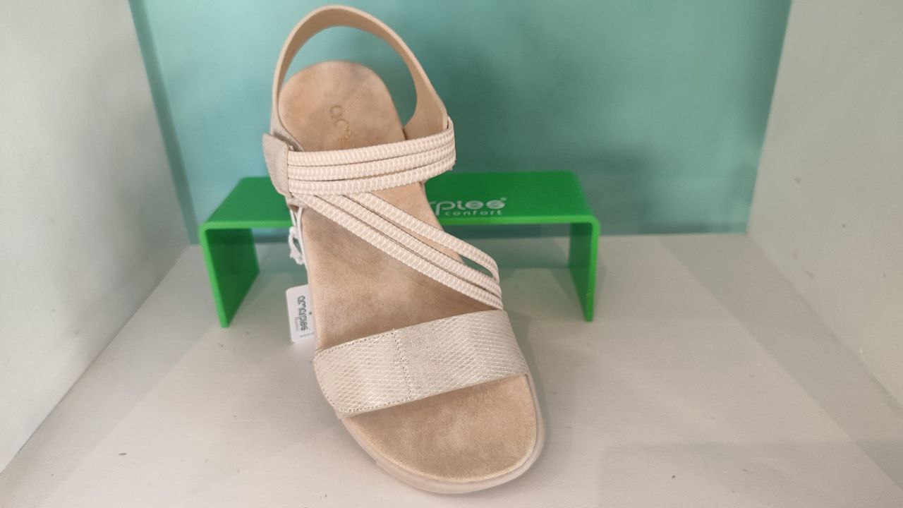 AMAR PIES 28606