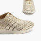 PITILLOS 10422